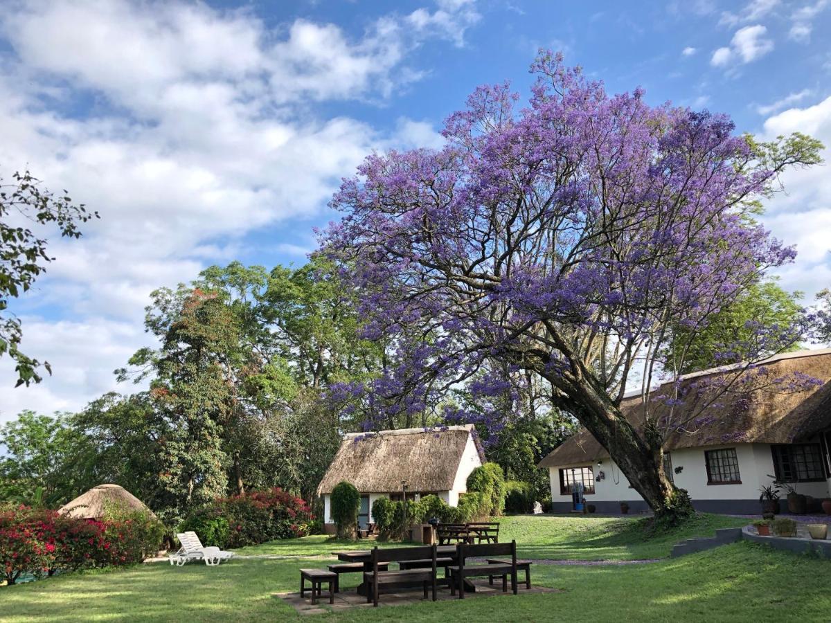 Thokozani Lodge White River Exterior foto