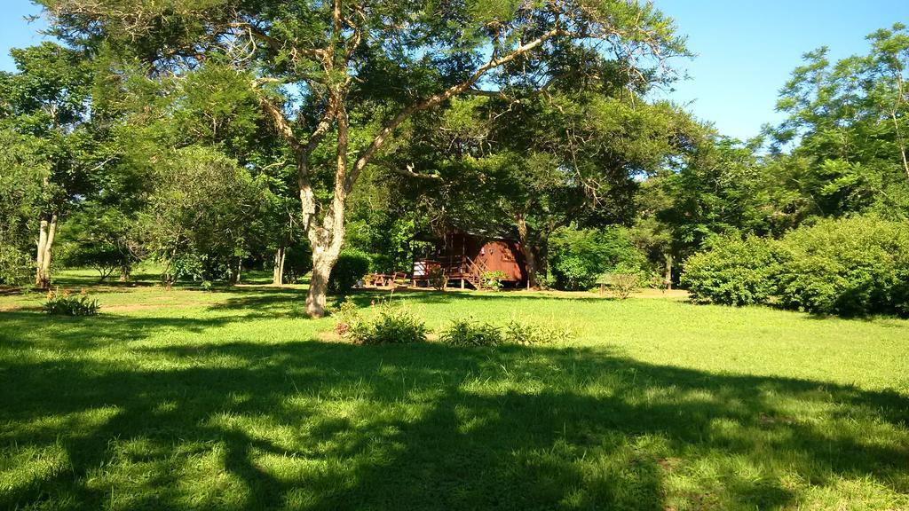 Thokozani Lodge White River Exterior foto